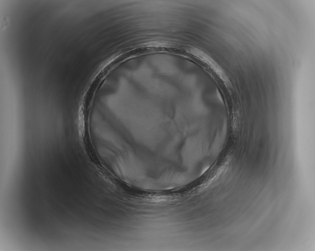 X0000100920829200807221114