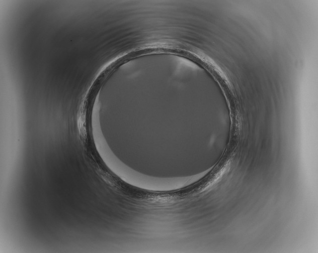 X0000100920830200807221114