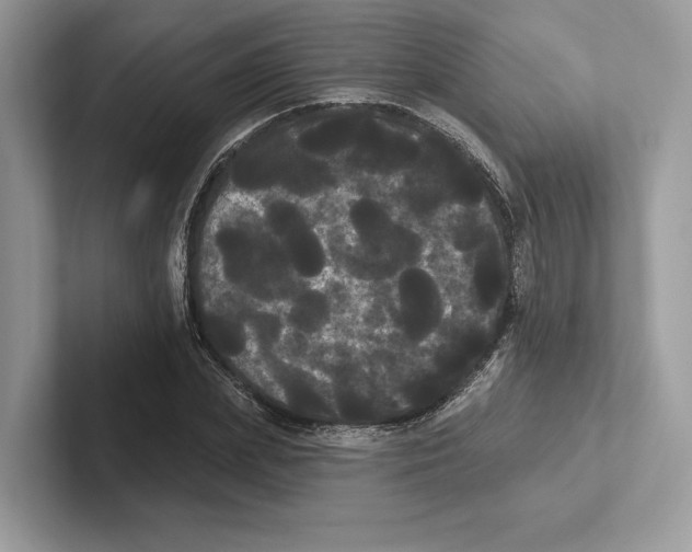 X0000100920831200807221114