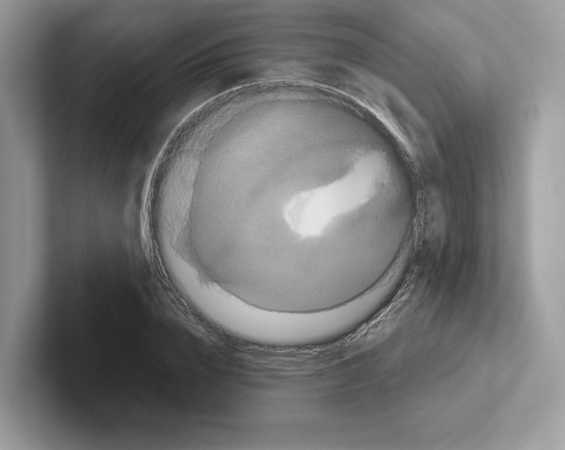 X0000100920832200807221114