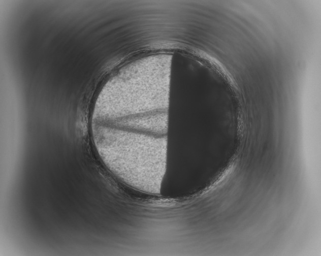 X0000100920833200807221114