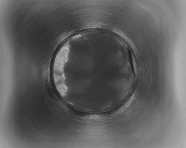 X0000100920834200807221114