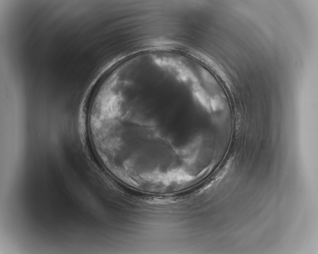 X0000100920835200807221114
