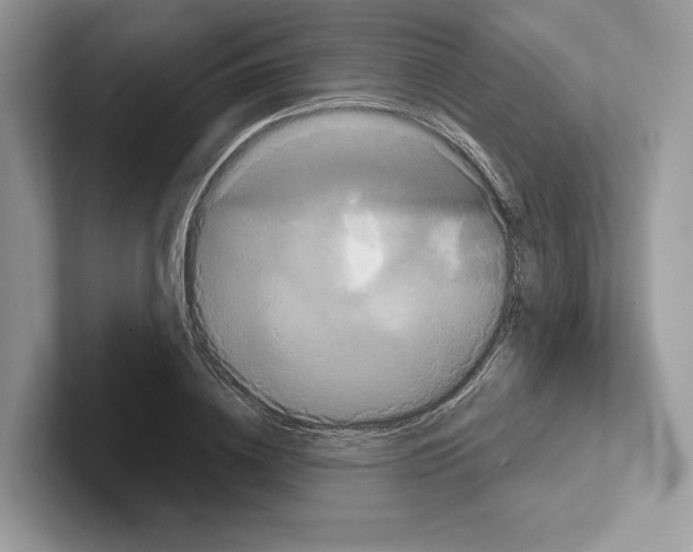 X0000100920836200807221114