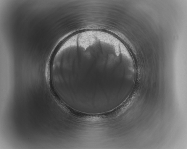 X0000100920838200807221114