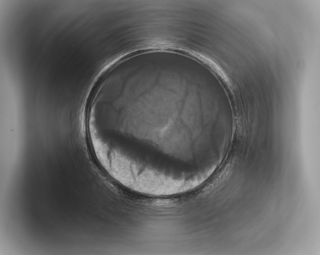 X0000100920839200807221114