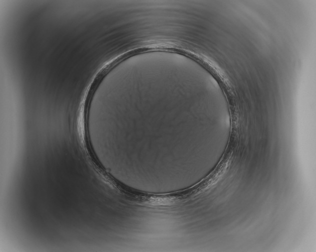 X0000100920840200807221114