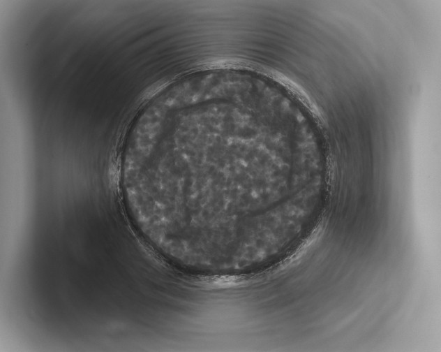 X0000100920841200807221114