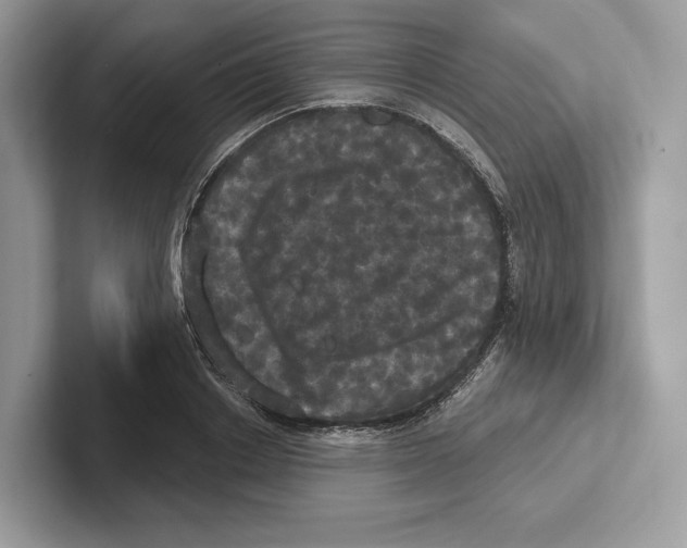 X0000100920842200807221114