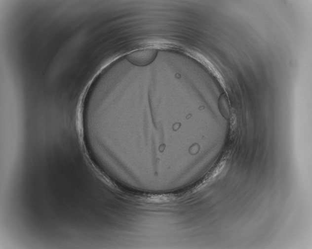 X0000100920843200807221114