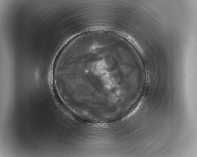 X0000100920844200807221114