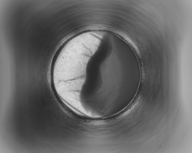 X0000100920845200807221114