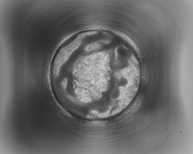 X0000100920847200807221114