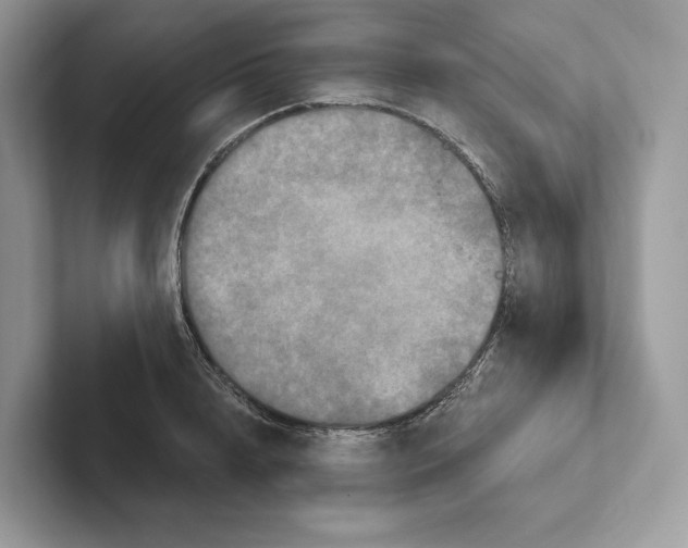 X0000100920848200807221114