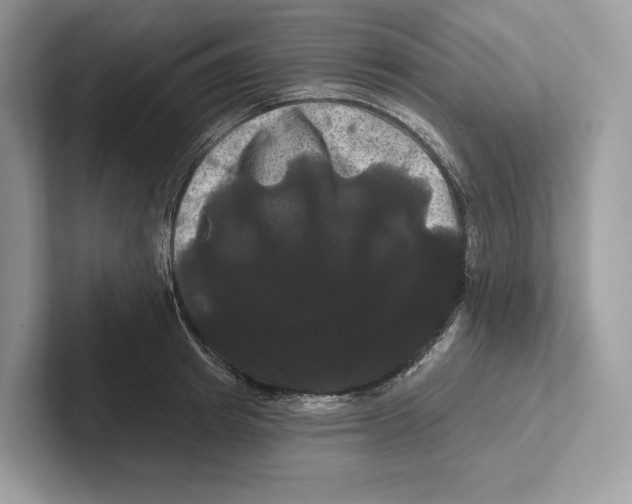 X0000100920849200807221114
