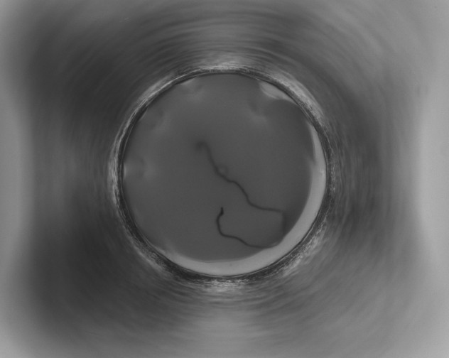 X0000100920850200807221114