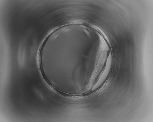 X0000100920851200807221114