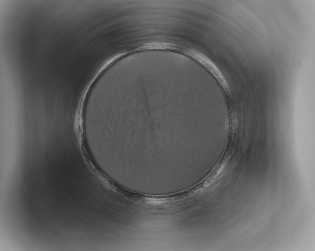 X0000100920852200807221114