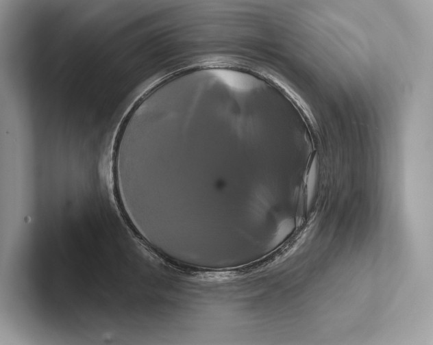 X0000100920853200807221114