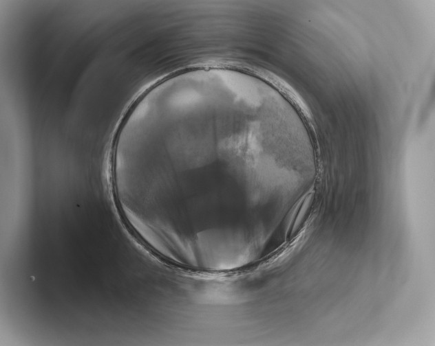 X0000100920855200807221114
