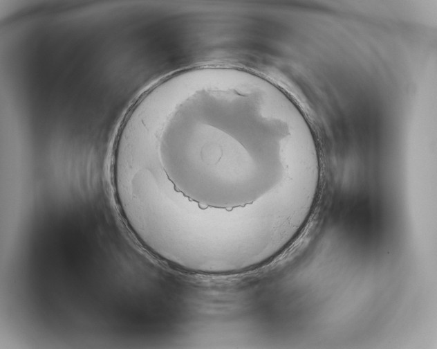 X0000100920856200807221114