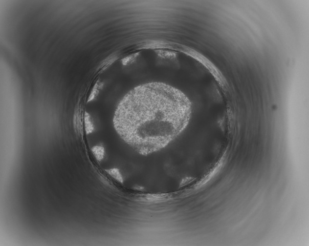 X0000100920857200807221114