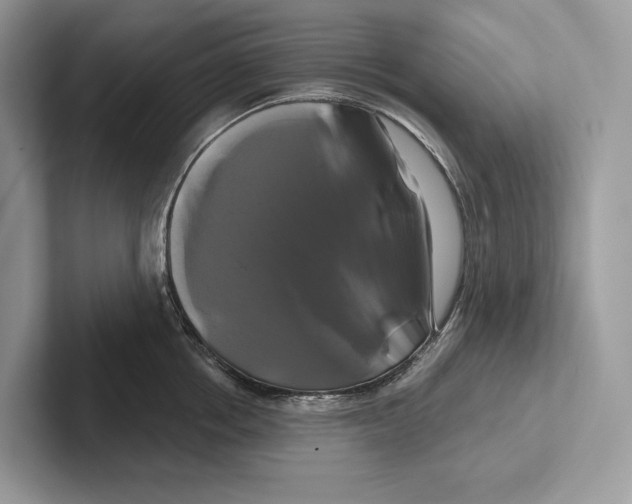 X0000100920858200807221114