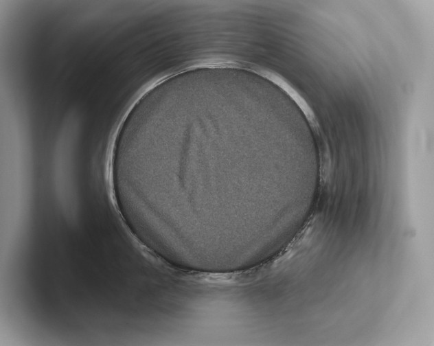 X0000100920861200807221114