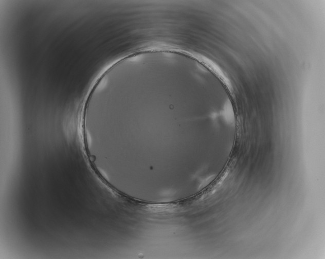 X0000100920863200807221114
