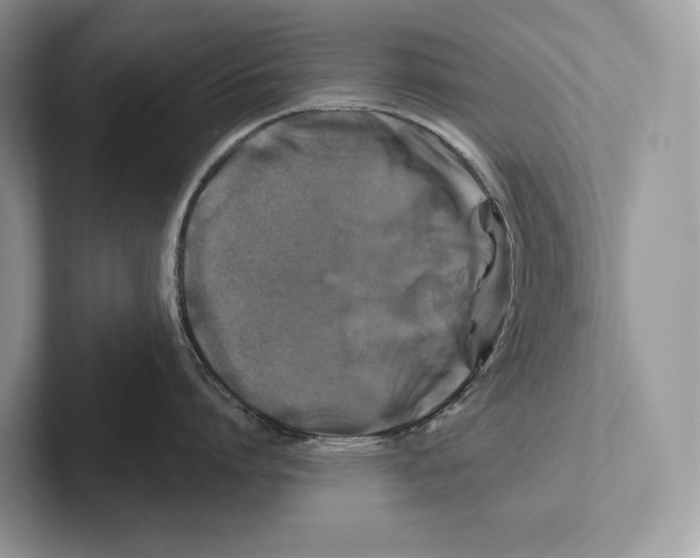 X0000100920864200807221114