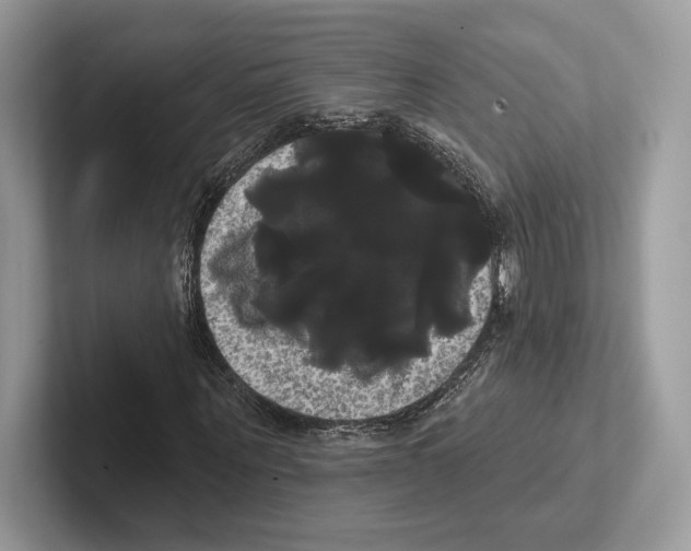 X0000100920867200807221114