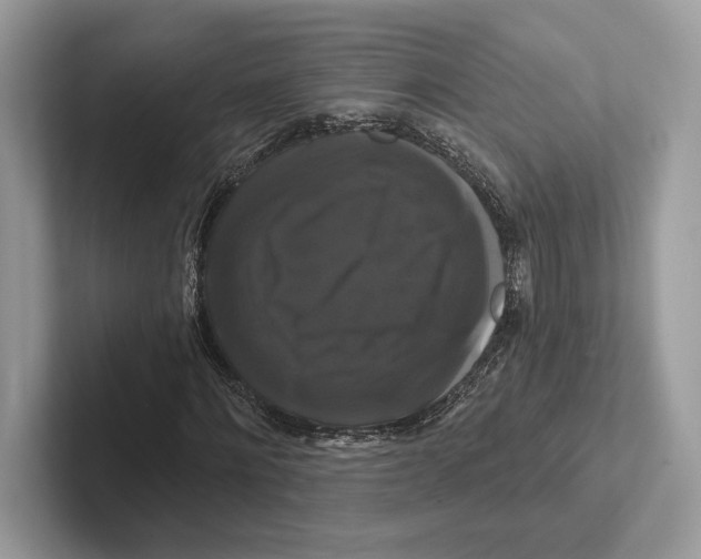 X0000100920868200807221114