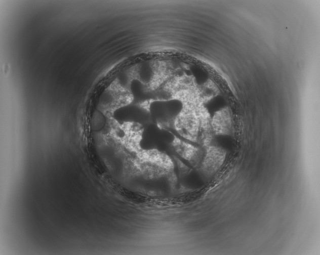 X0000100920871200807221114