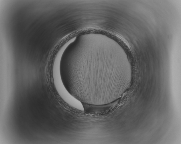 X0000100920872200807221113