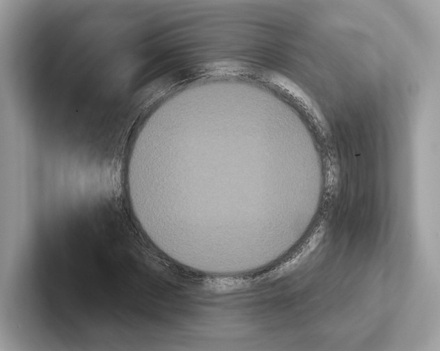 X0000100920873200807221113