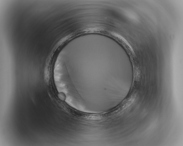 X0000100920874200807221113