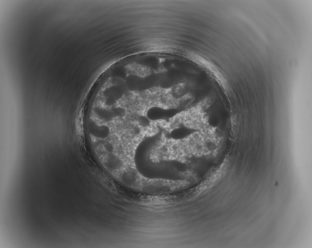 X0000100920875200807221113