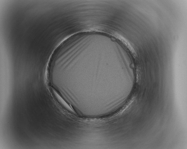 X0000100920876200807221113