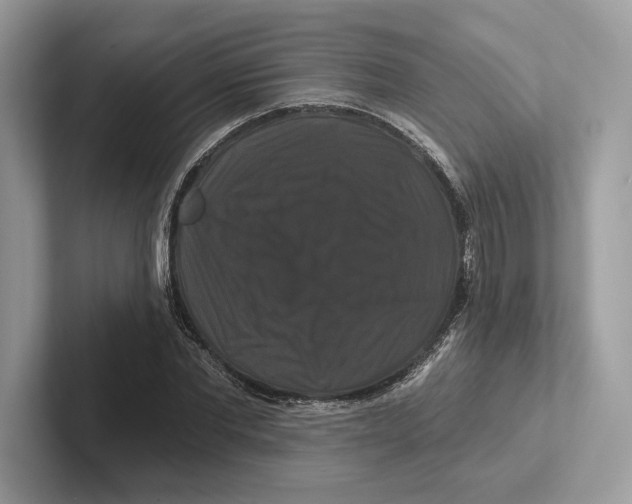 X0000100920877200807221113