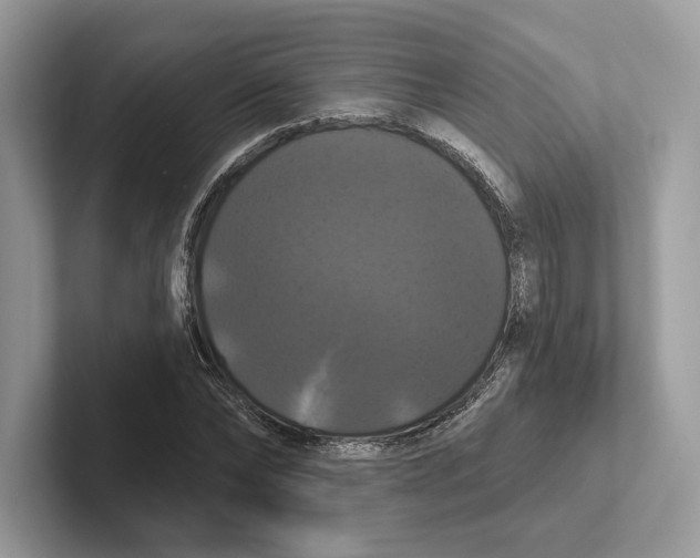 X0000100920878200807221113