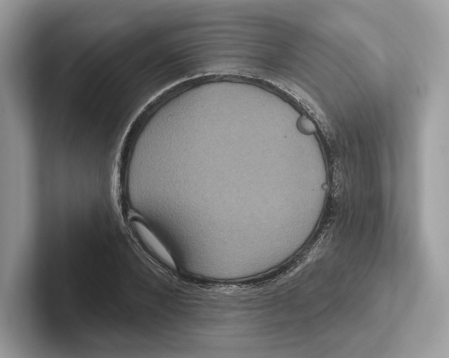 X0000100920880200807221113