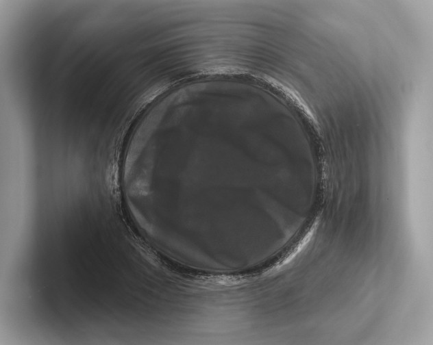 X0000100920881200807221113