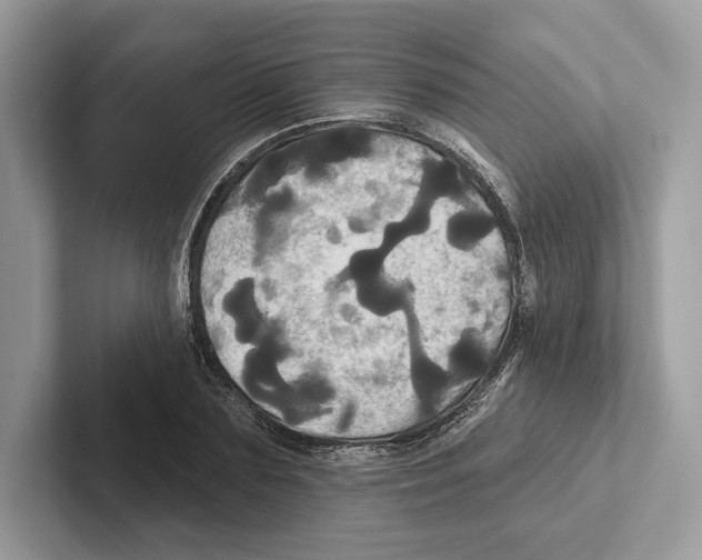 X0000100920883200807221113