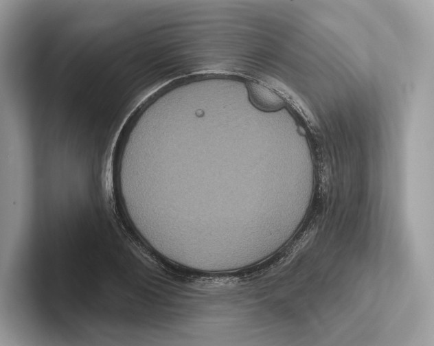 X0000100920884200807221113