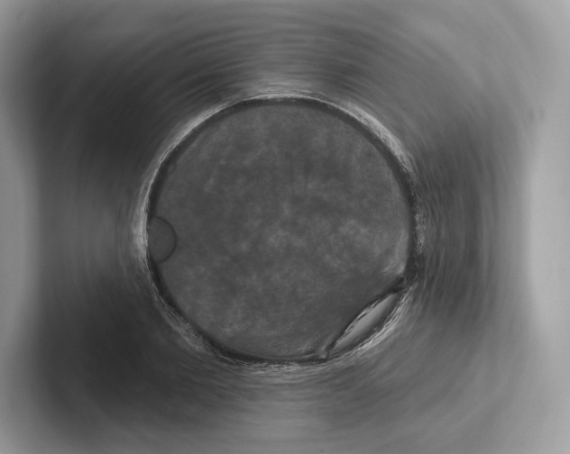 X0000100920885200807221113