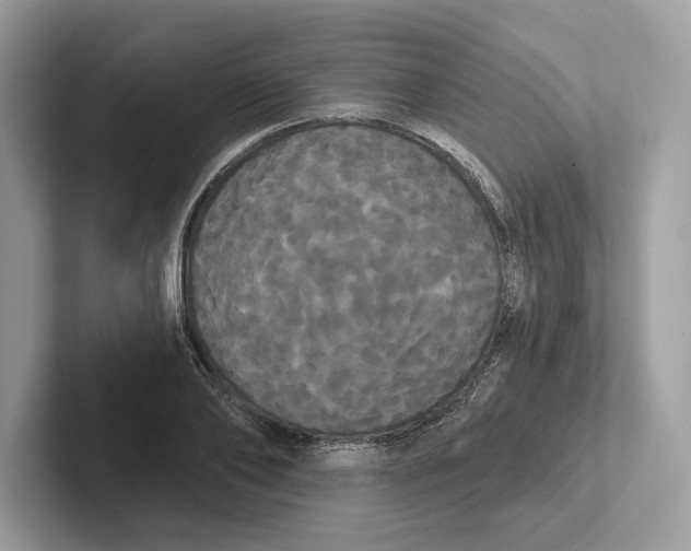 X0000100920886200807221113