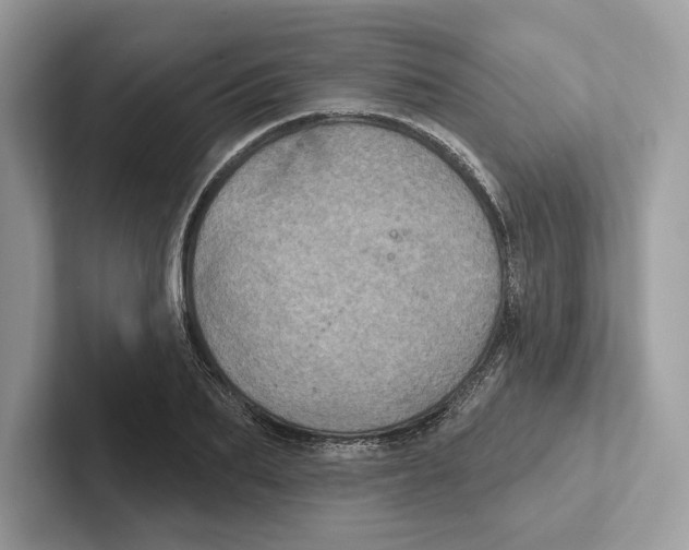 X0000100920887200807221113