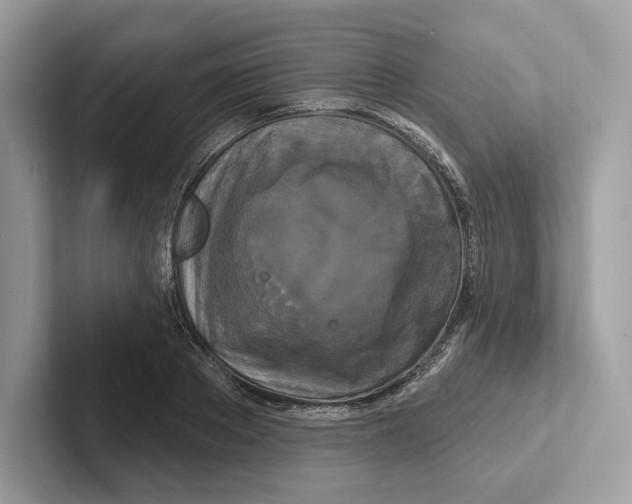 X0000100920889200807221113