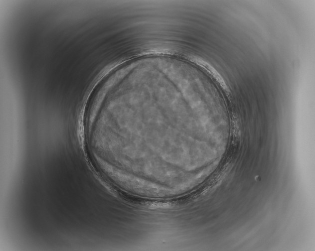 X0000100920890200807221113