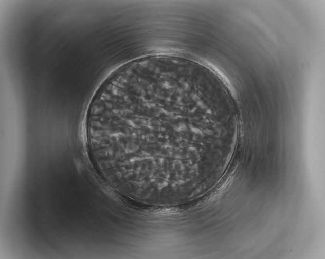 X0000100920891200807221113
